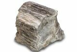 Petrified Wood Section with Sparkling Quartz - Arizona #305465-1